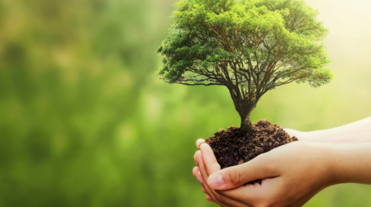 Corso Valutazione Impatto Ambientale e Valutazione Ambientale Strategica